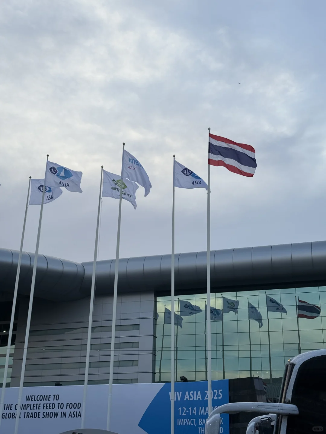 外贸?泰国｜在世界浪潮中，寻找自己的方向