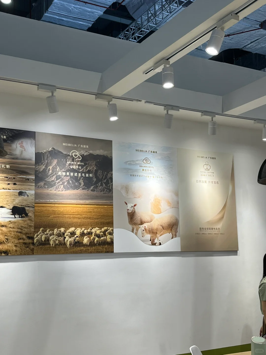 上海展会又开幕了