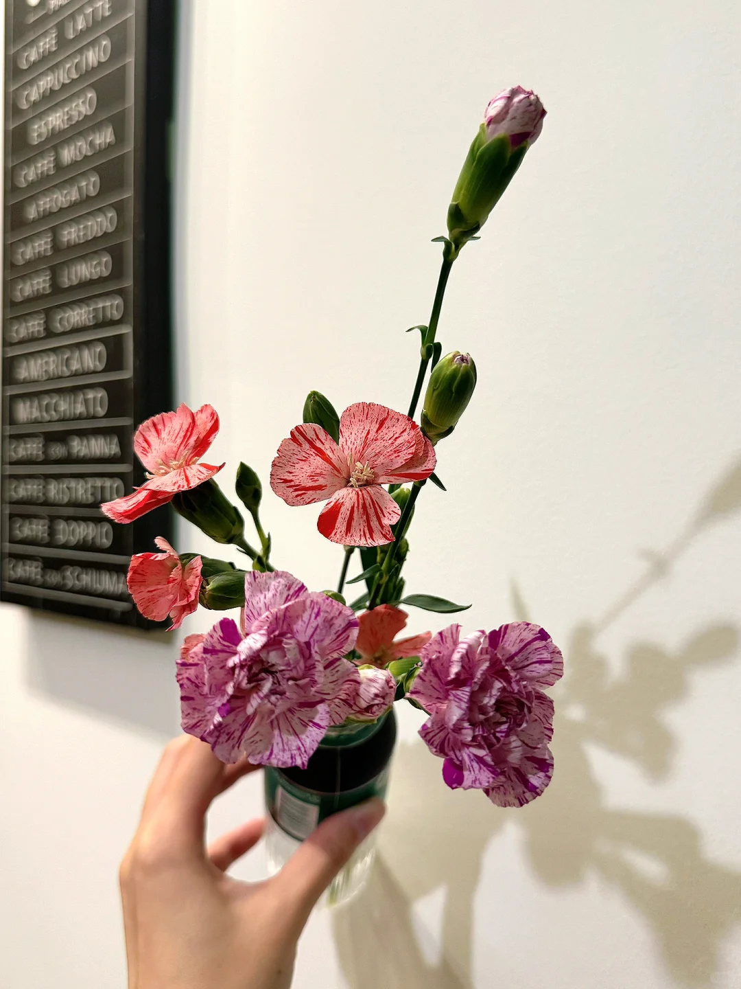 中国国际花卉园艺展打卡礼品攻略