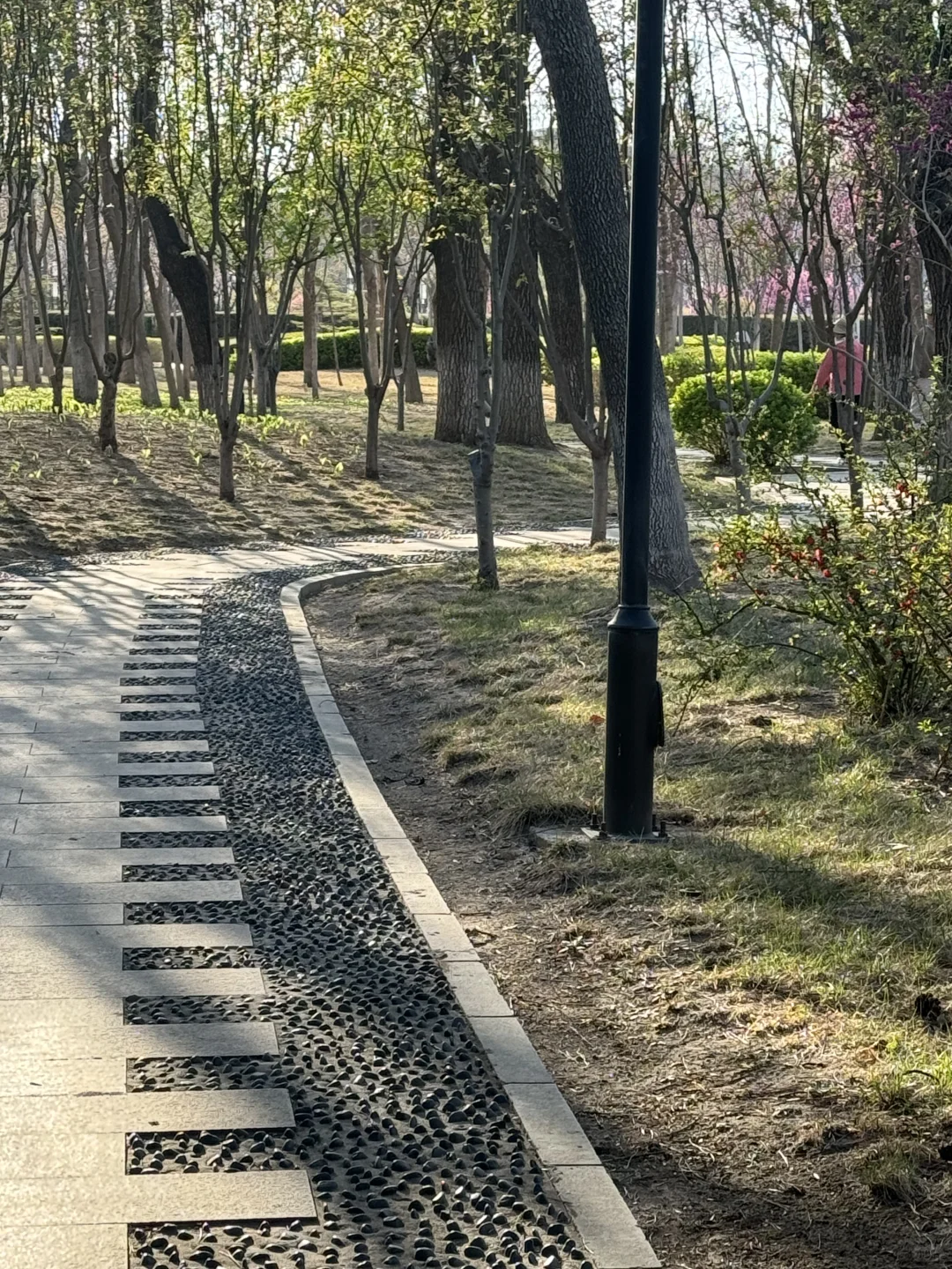 廊坊-会展中心 谁能舍得错过这样的春天啊‼️