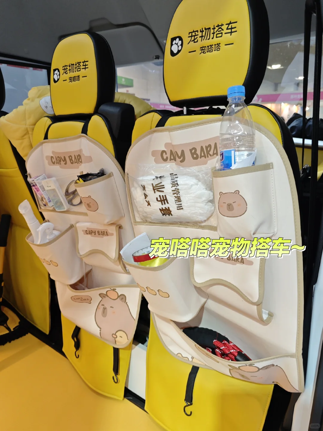 99年土木男生｜猫经济产业创新博览会，超赞