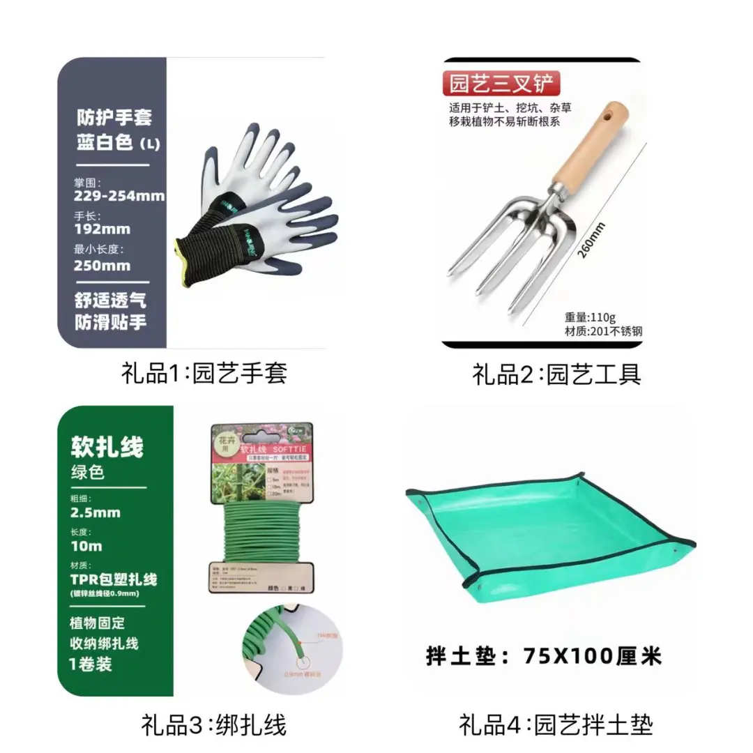 中国国际花卉园艺展打卡礼品攻略