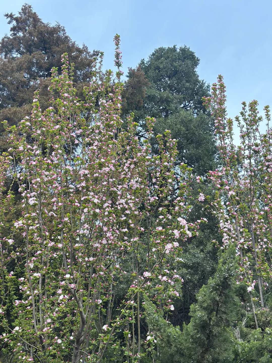 北京文房四宝展