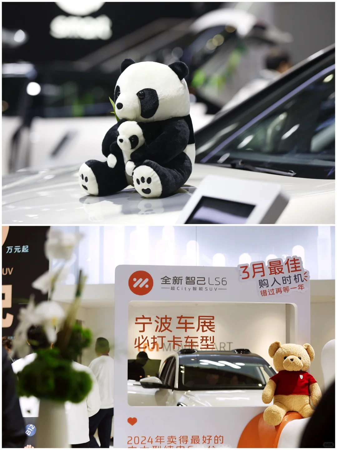 会展摄影|2025年宁波市国际汽车博览会