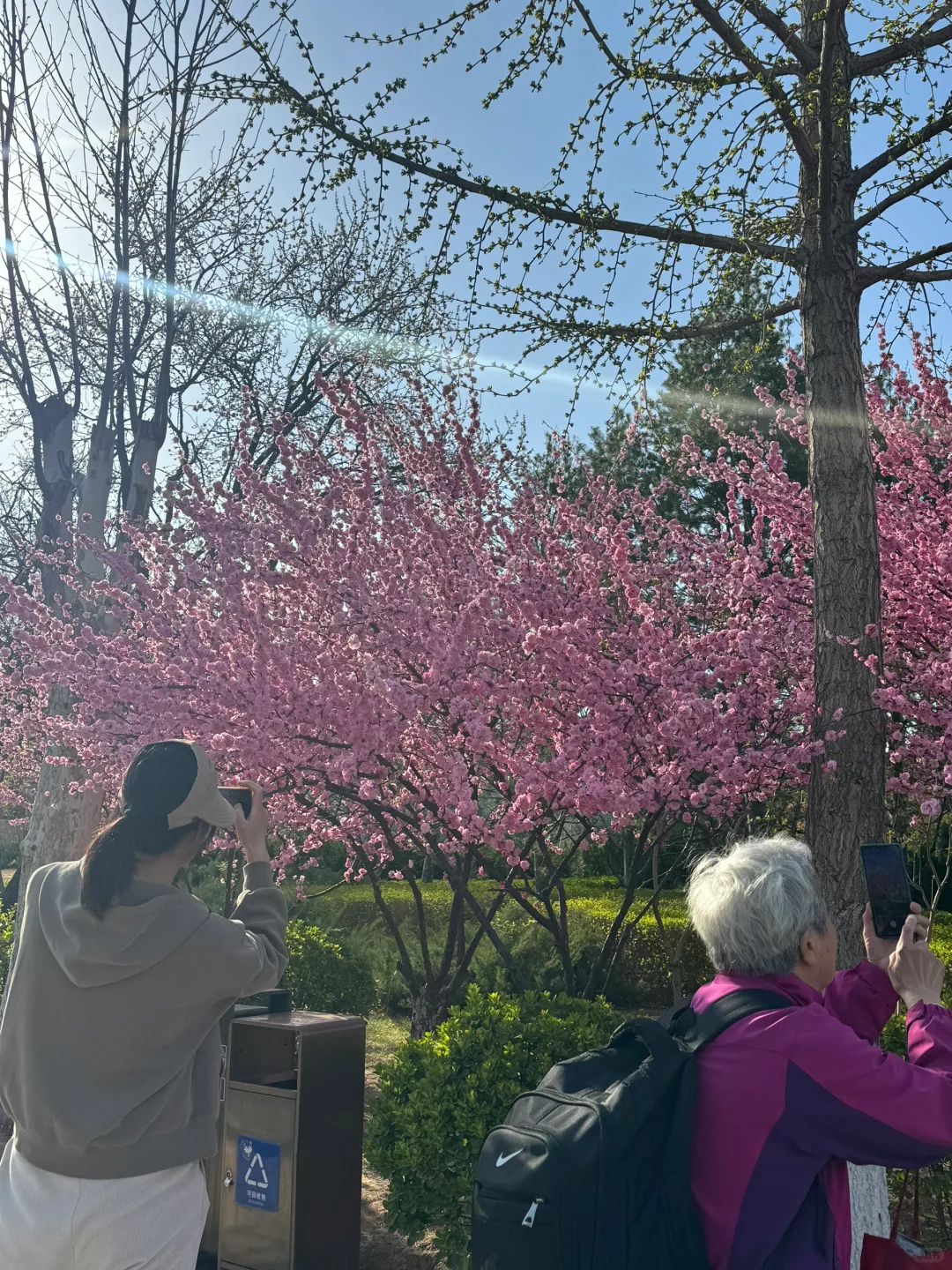廊坊-会展中心 谁能舍得错过这样的春天啊‼️