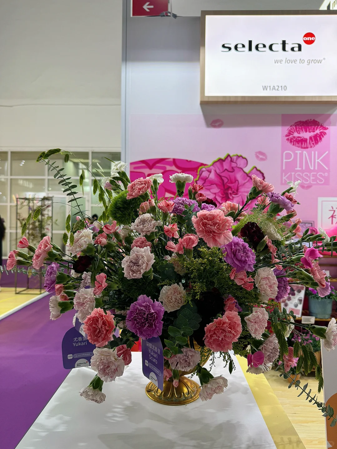 中国国际花卉园艺展打卡礼品攻略