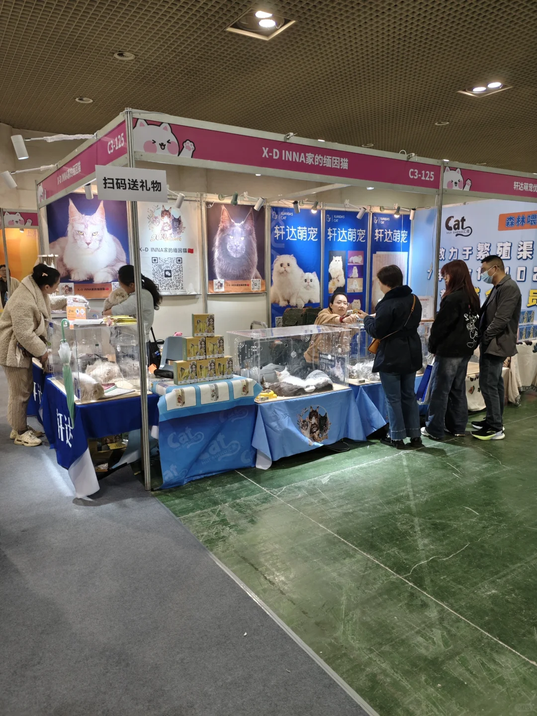 99年土木男生｜猫经济产业创新博览会，超赞