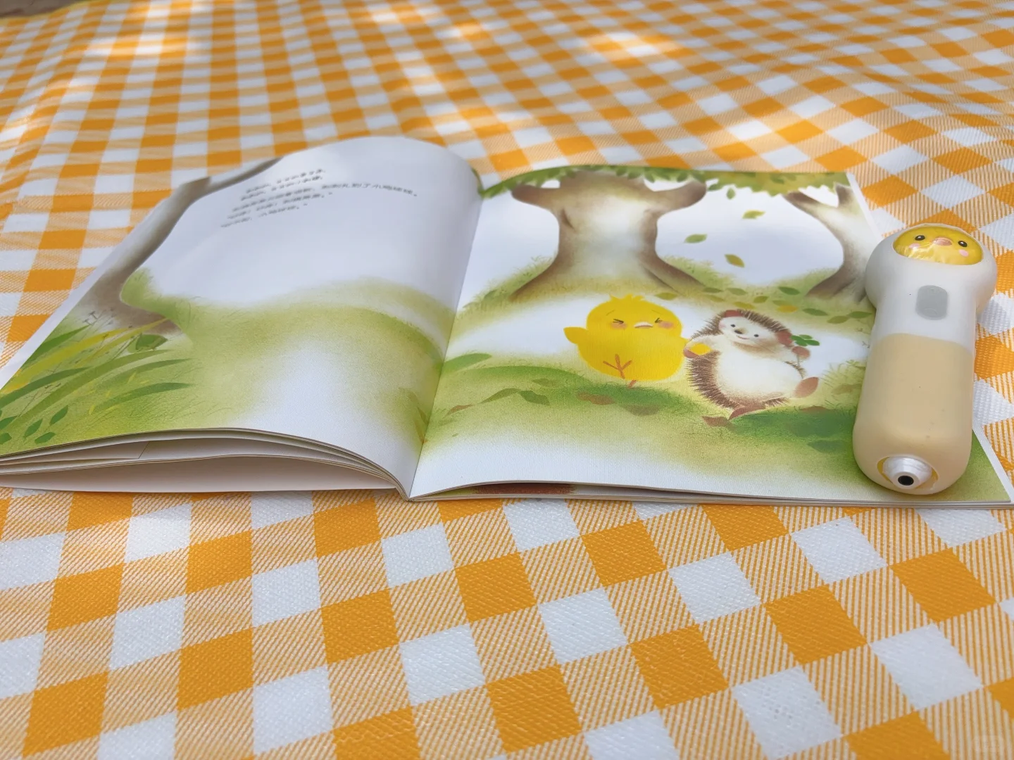 有没有越南下龙湾能主持团队会展的主持人