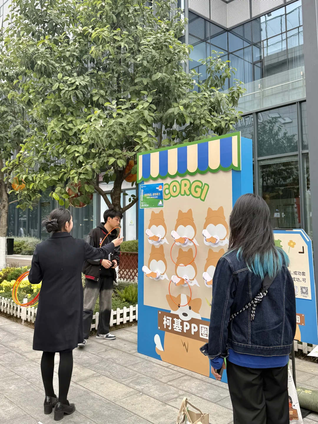 猫猫也有春天ฅ՞••՞ฅ误入喵星啦