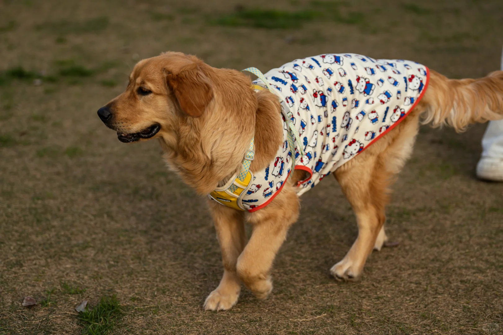 【周末日记】会展中心之旅，惊喜满满！?