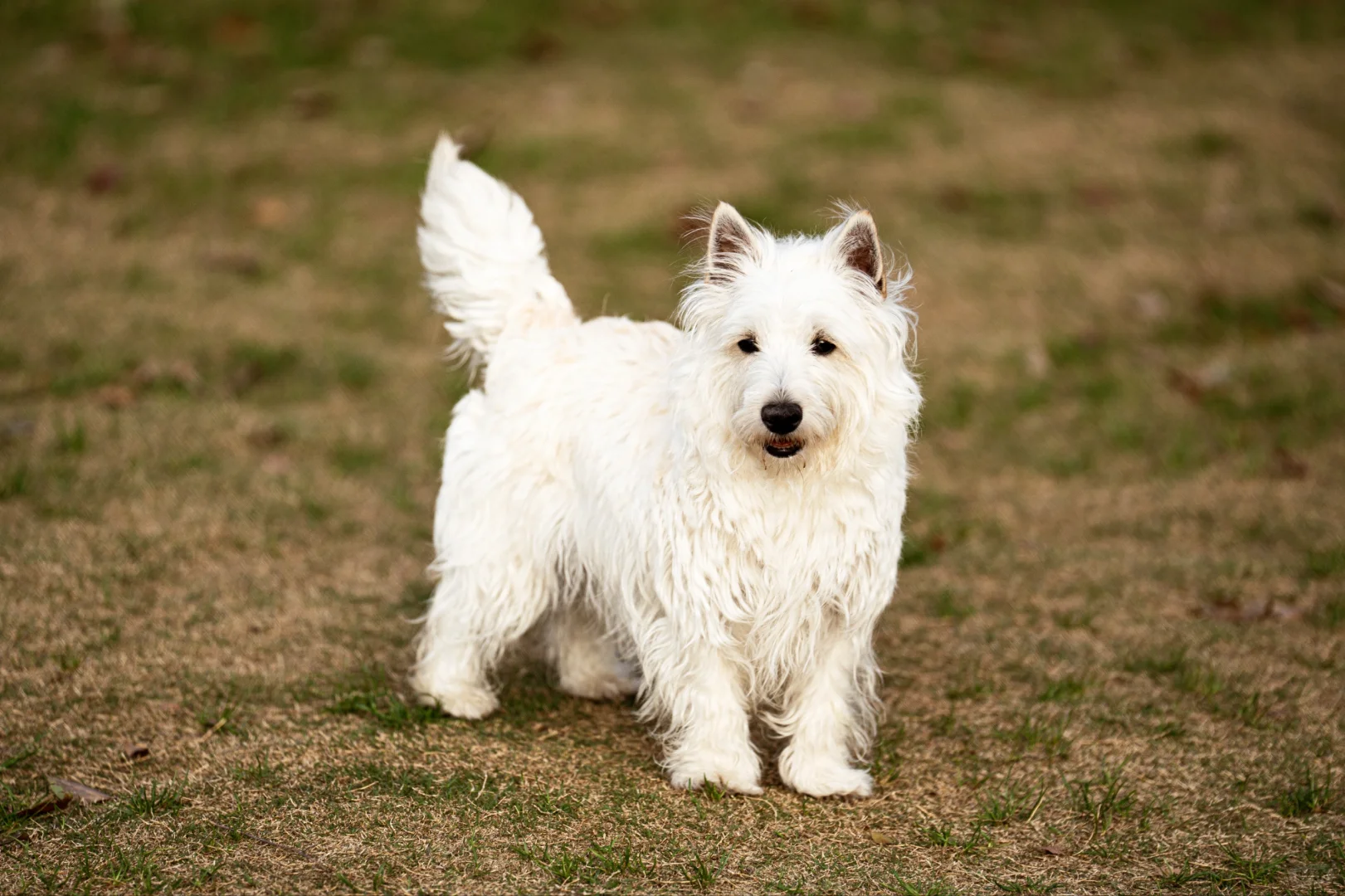【周末日记】会展中心之旅，惊喜满满！?