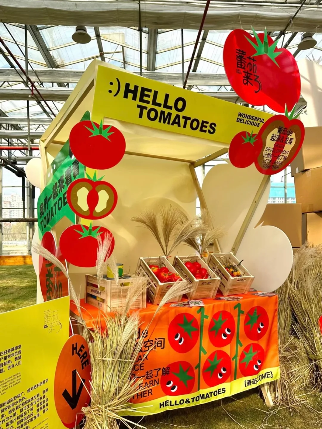 ?预算不够?5招「低成本高效果」展台设计