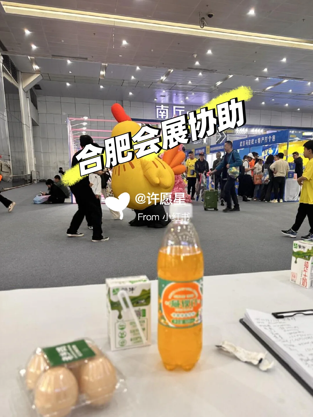 合肥会展协助兼职太爽爽爽了