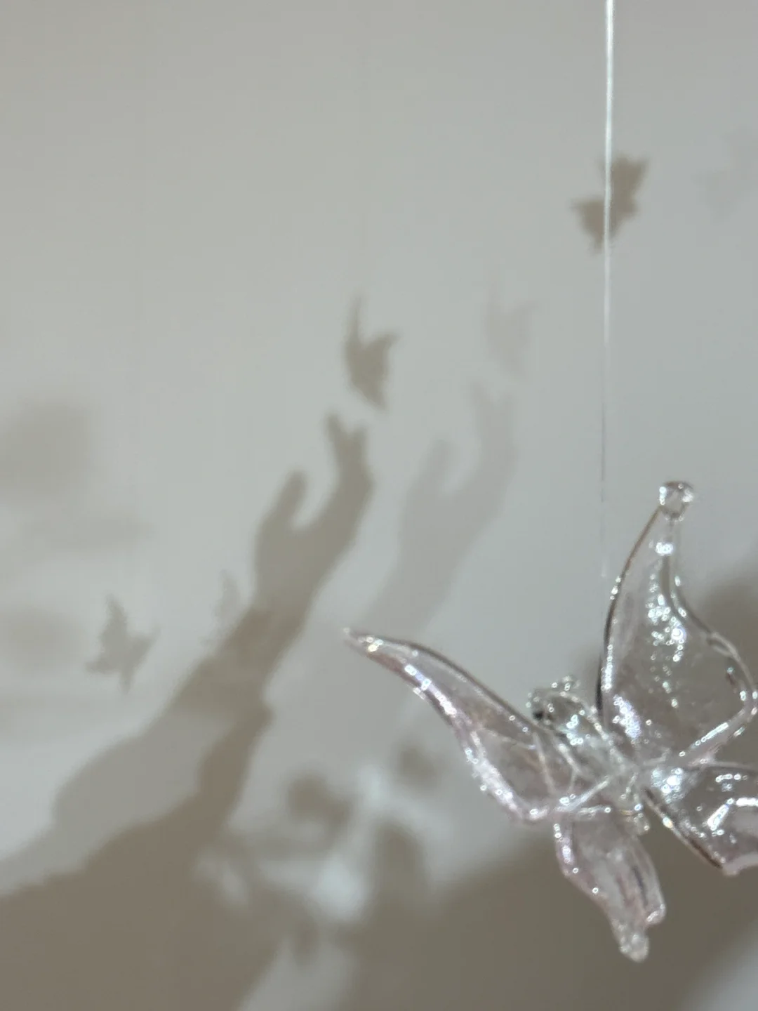 上海新展！近期看过最梦幻的艺术展?