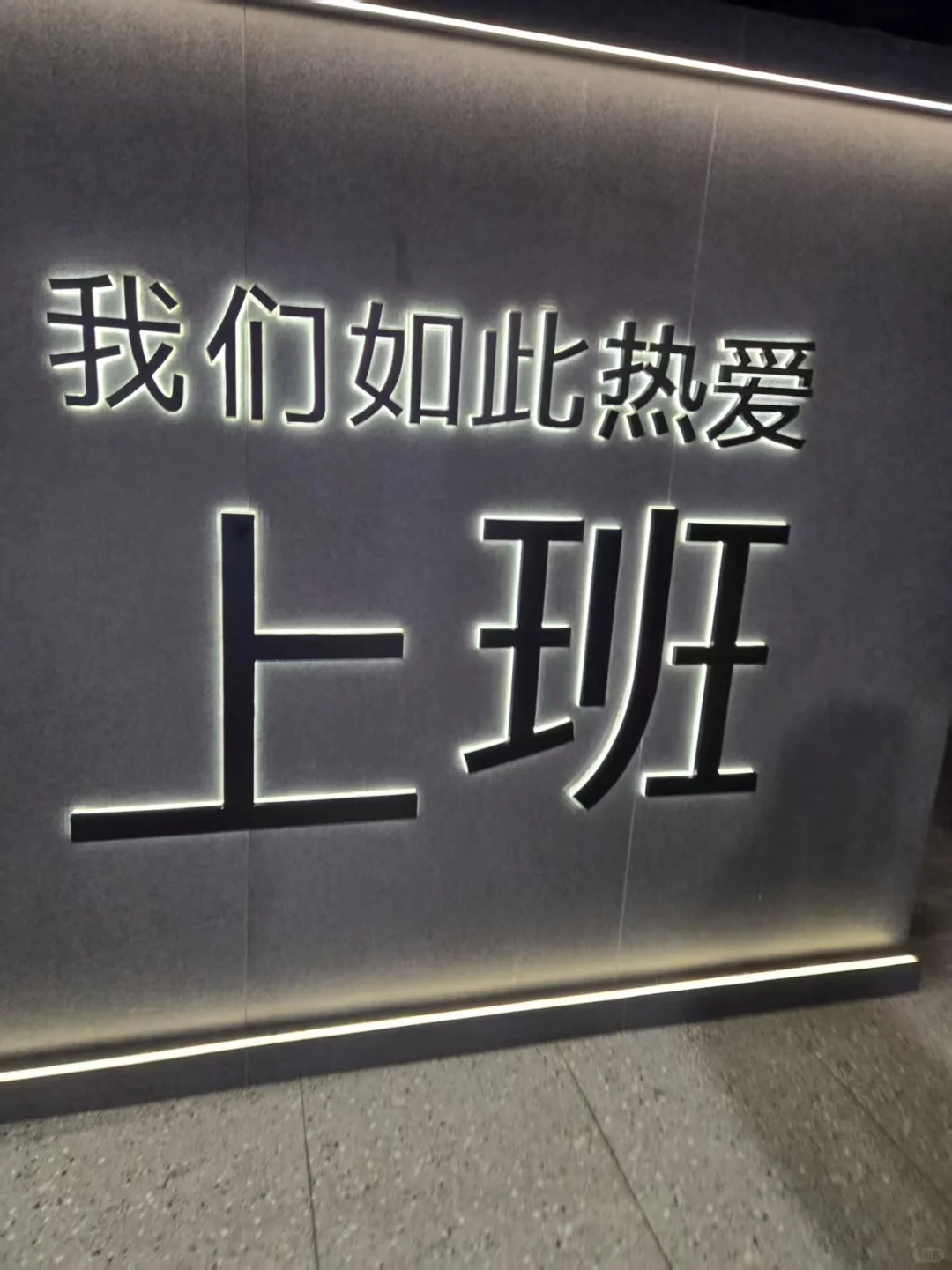 热爱上班的会展打工仔?