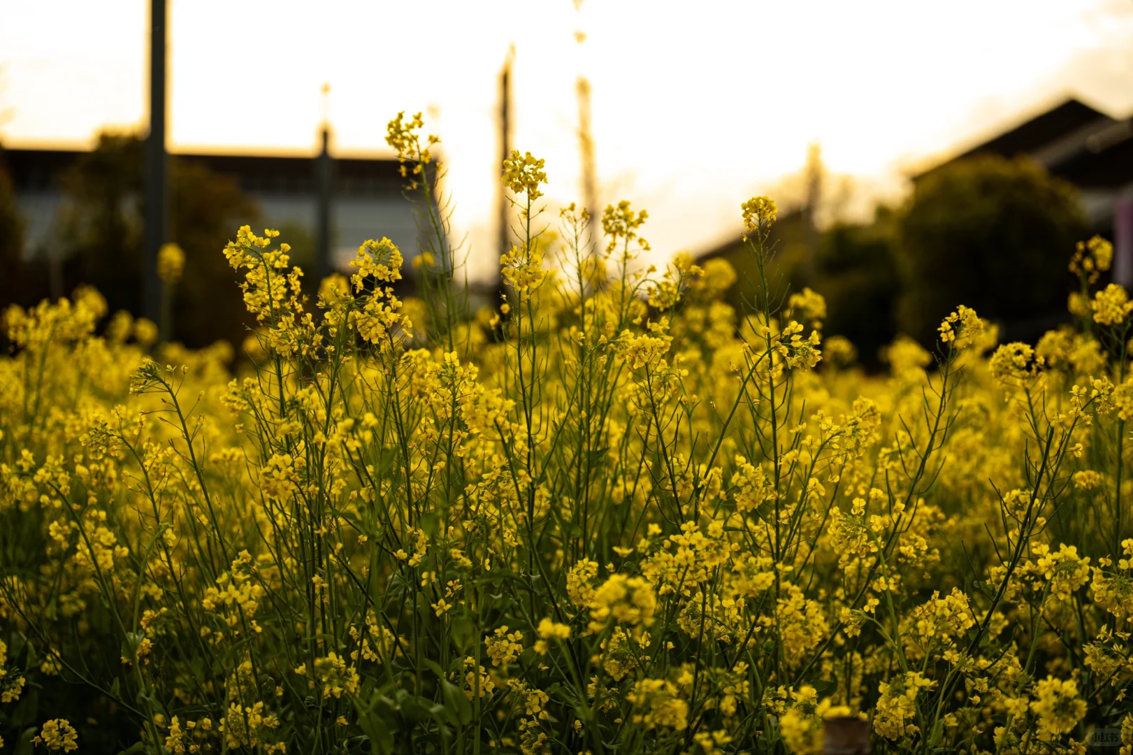 【周末日记】会展中心之旅，惊喜满满！?