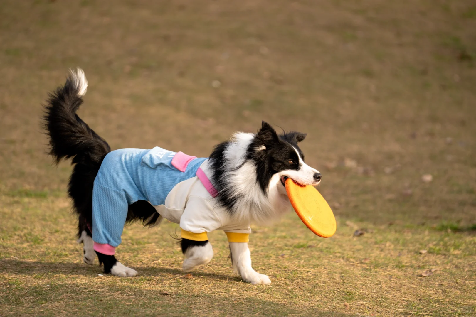 【周末日记】会展中心之旅，惊喜满满！?