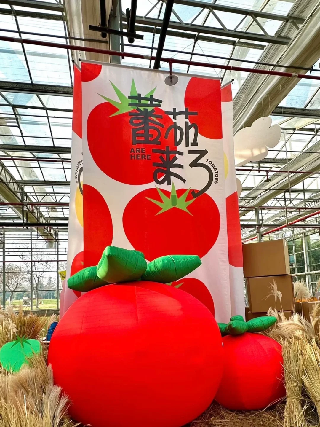 ?预算不够?5招「低成本高效果」展台设计