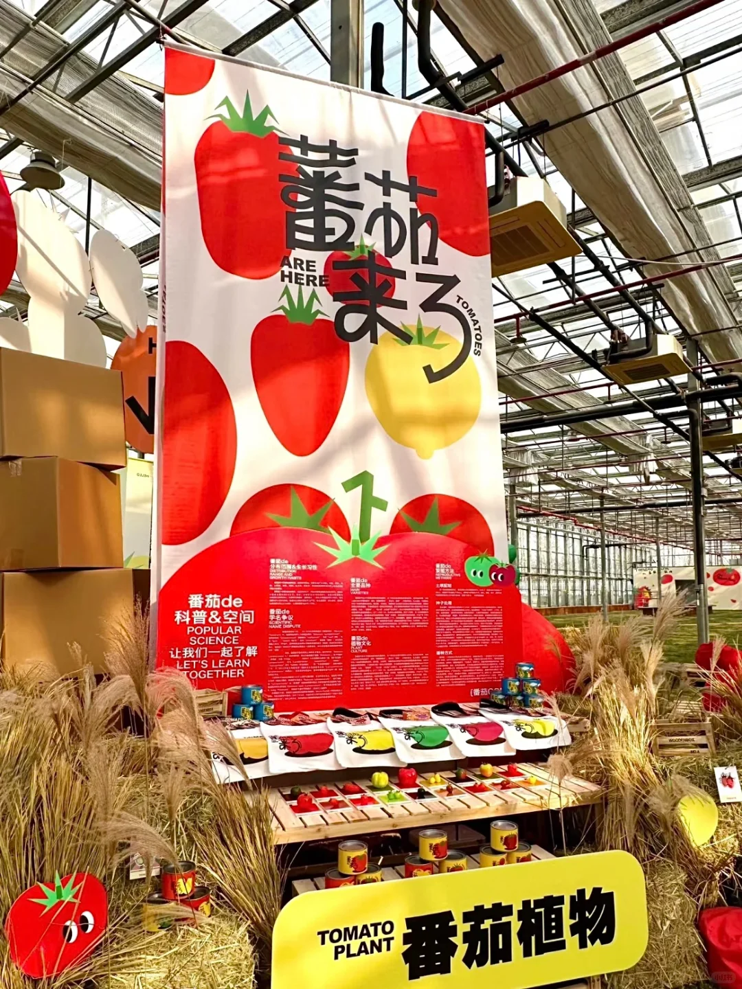 ?预算不够?5招「低成本高效果」展台设计