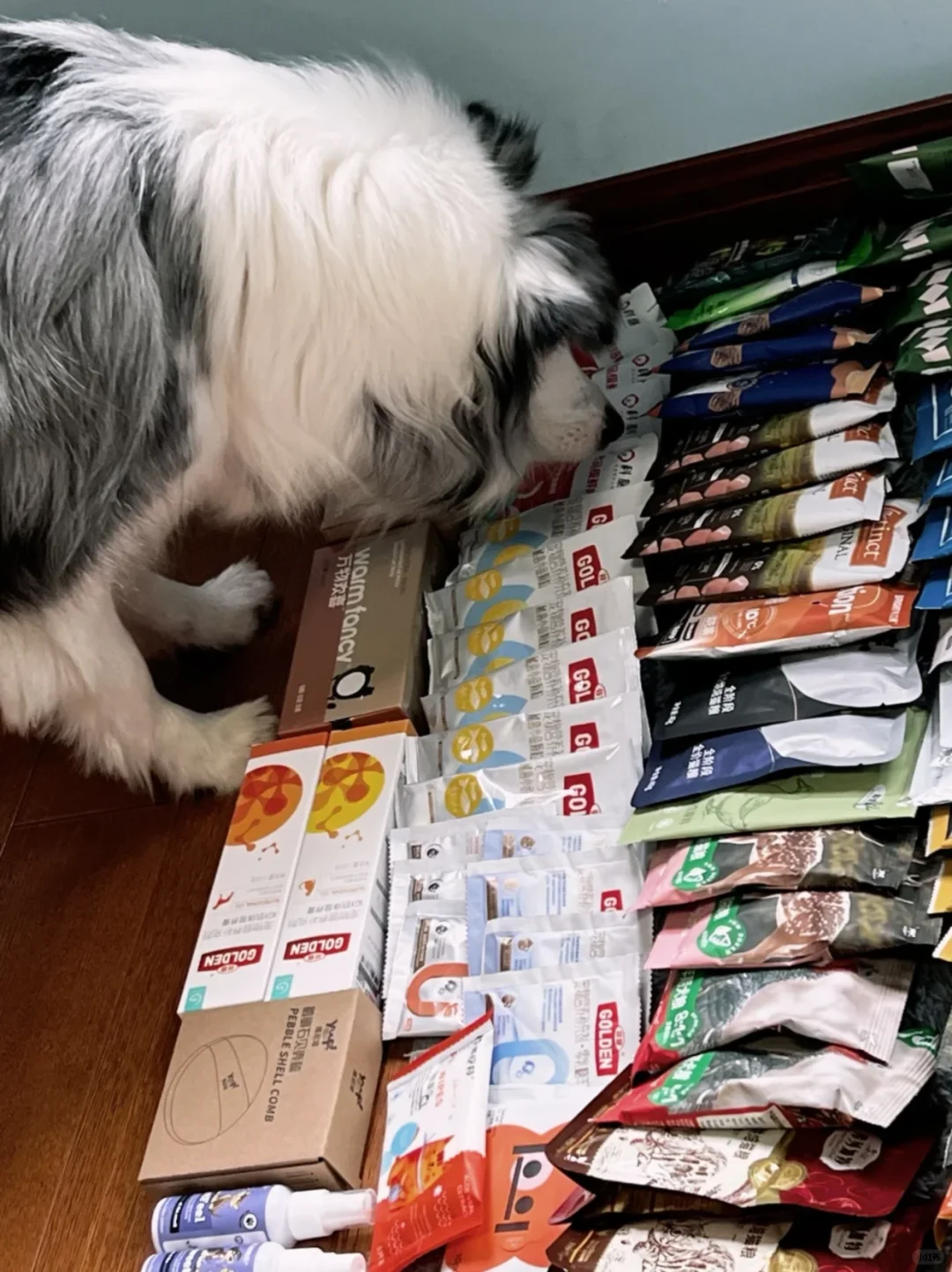 上海5月它博会来啦?免费送票附逛展攻略