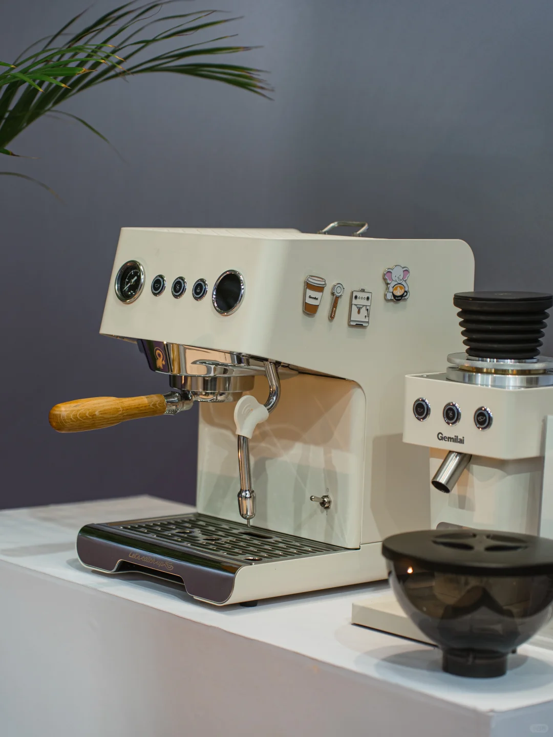 免费吃喝玩乐✨在上海来这个展子就够啦‼️