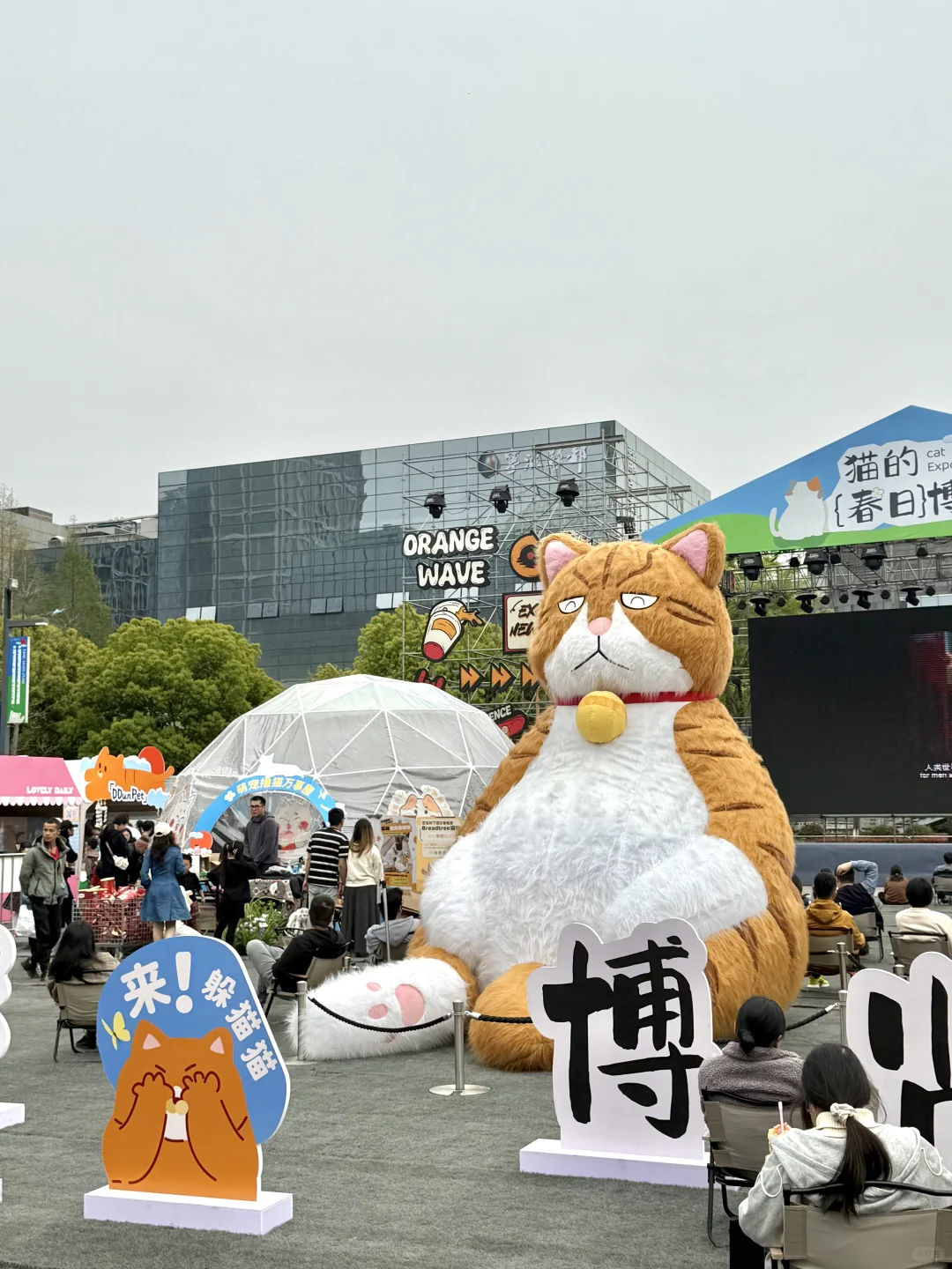 猫猫也有春天ฅ՞••՞ฅ误入喵星啦