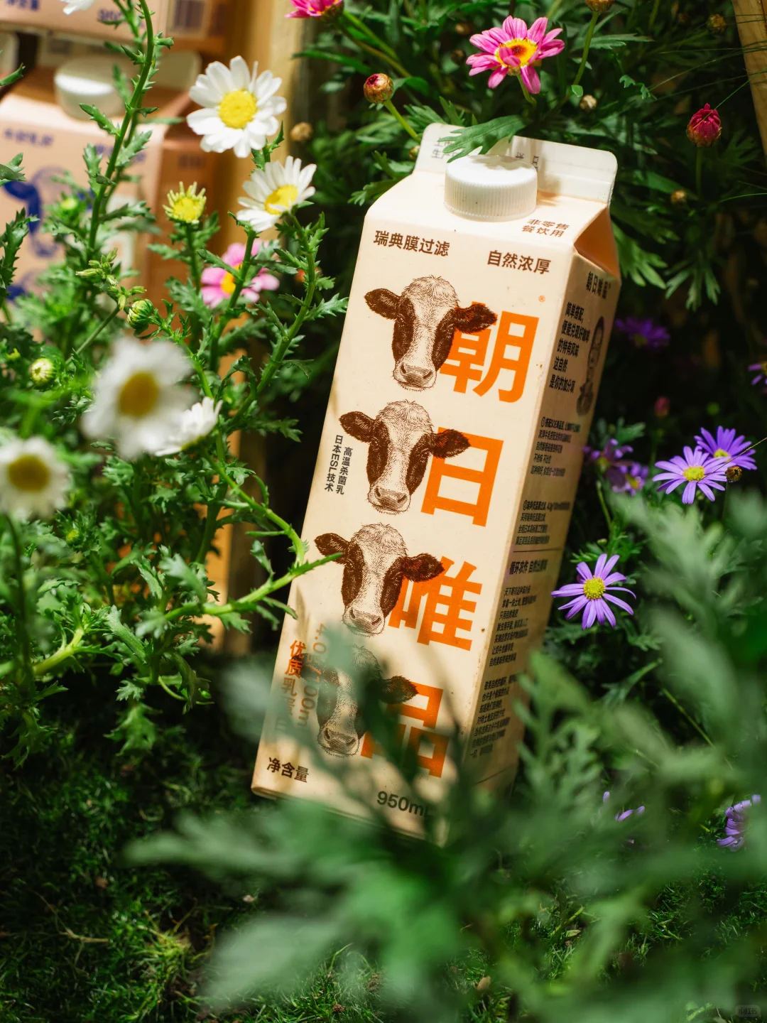 免费吃喝玩乐✨在上海来这个展子就够啦‼️