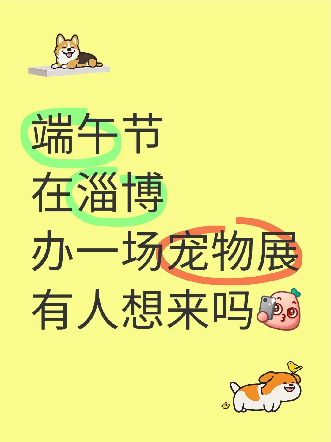 宠物展蹲合作伙伴?