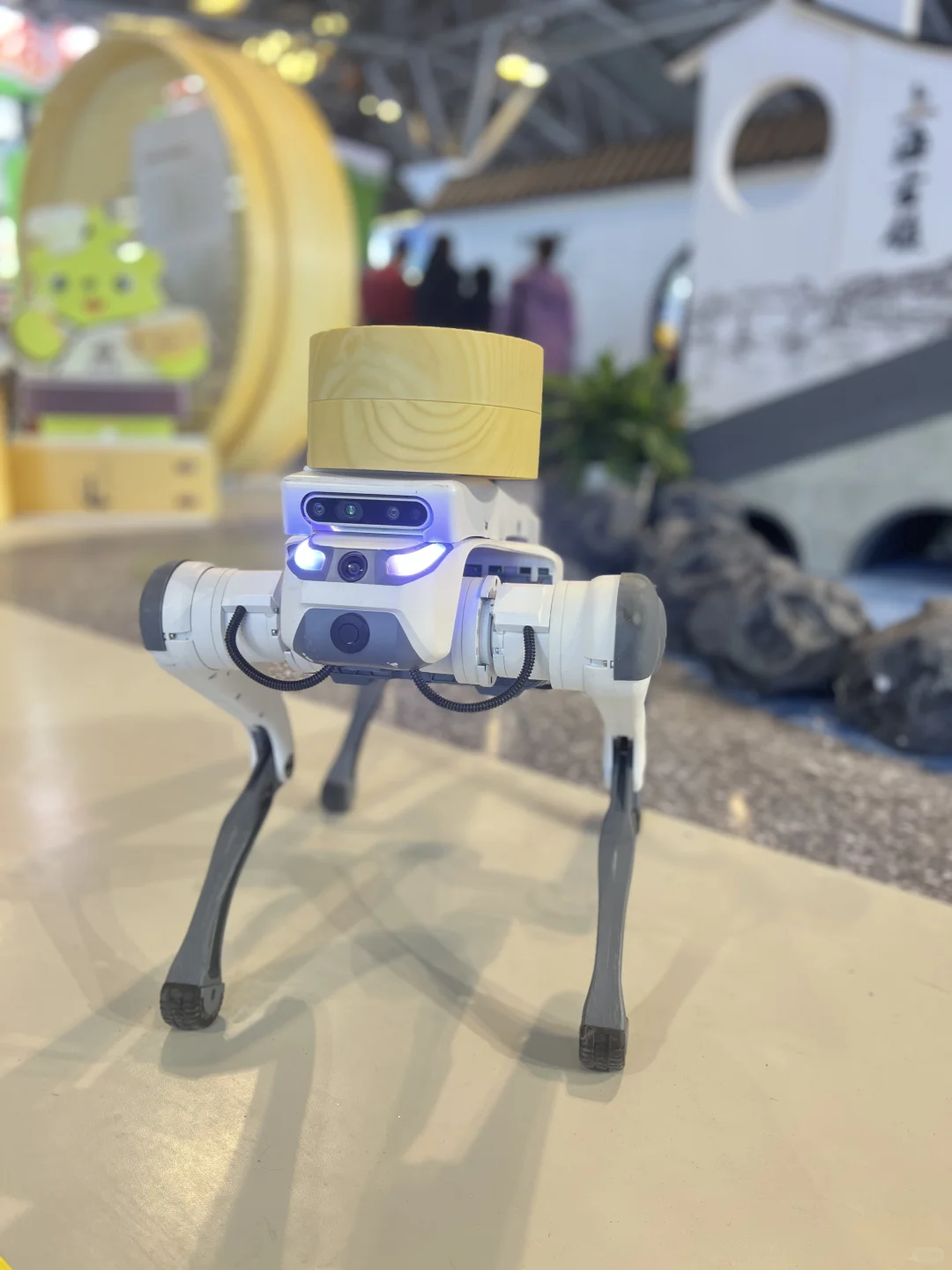 2025上海旅游博览会?31号实拍