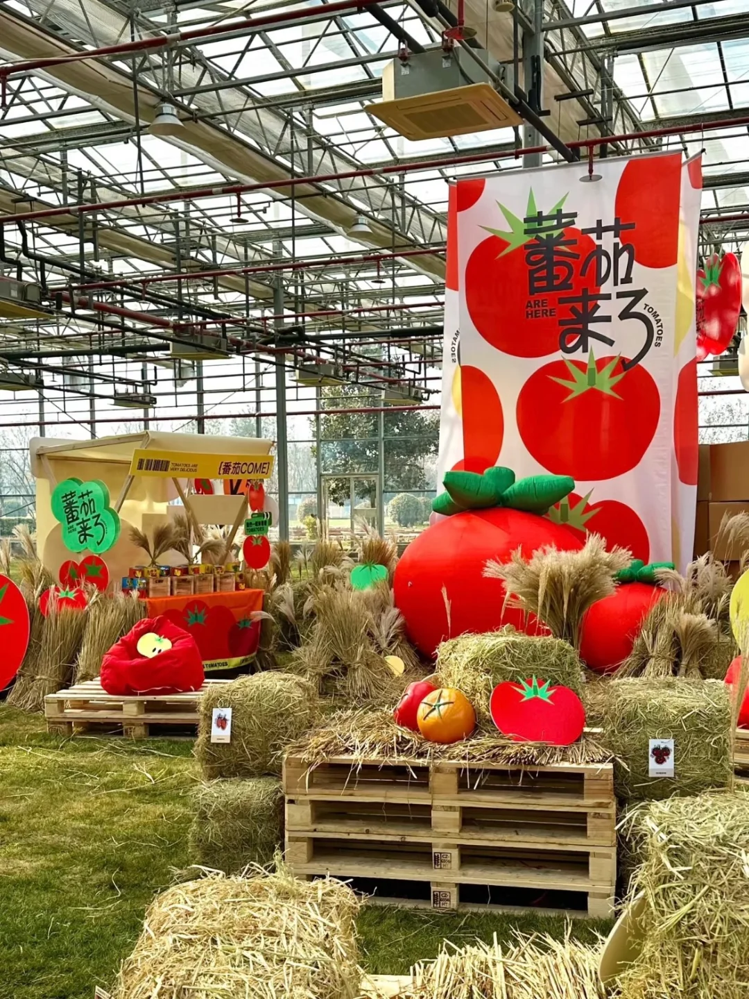 ?预算不够?5招「低成本高效果」展台设计