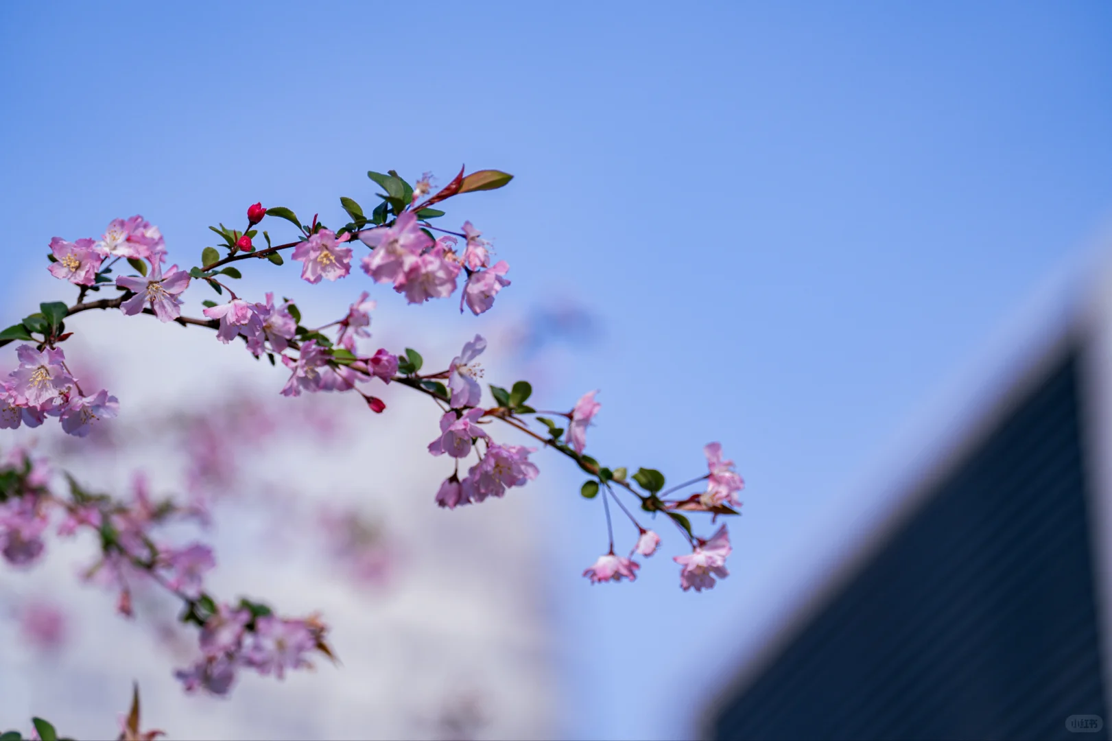 【周末日记】会展中心之旅，惊喜满满！?
