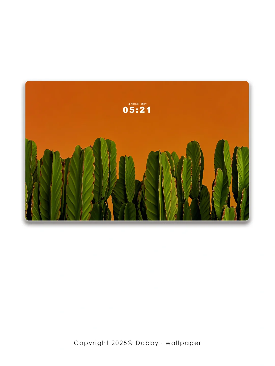 28｜趁天空不在意，偷点晚霞赠给你。｜电脑壁纸