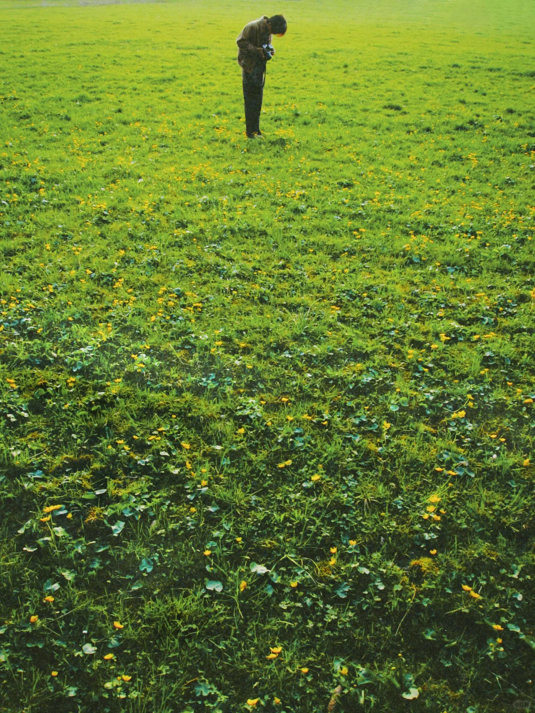 新壁纸来咯❤️