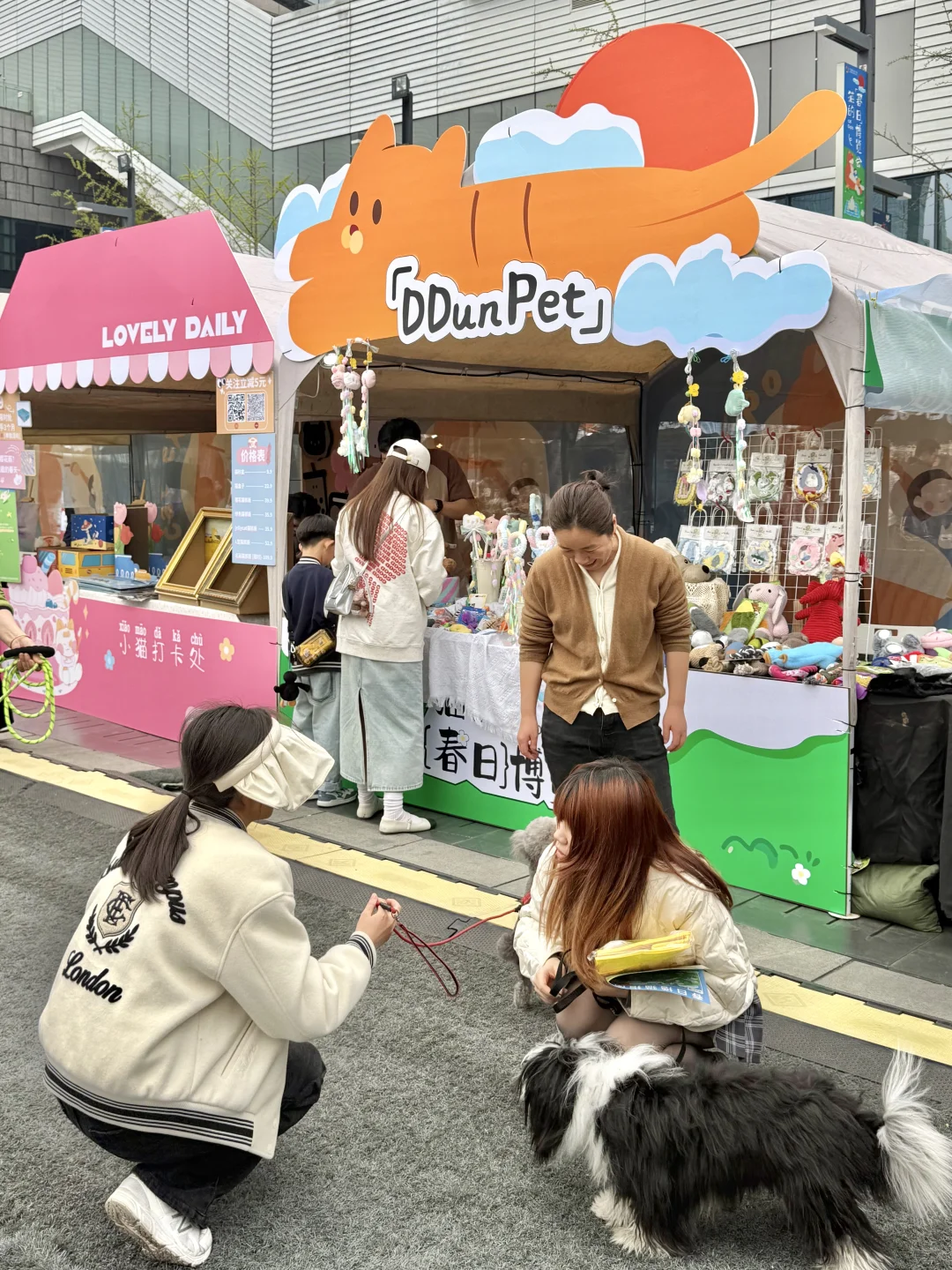 猫猫也有春天ฅ՞••՞ฅ误入喵星啦