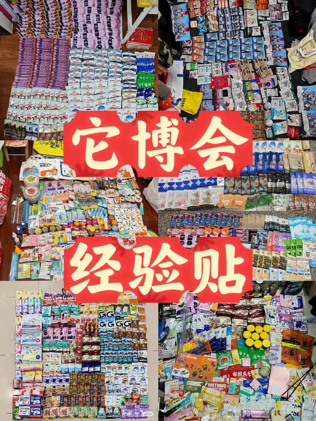 2025它博会必看攻略!100斤羊毛行李箱拉走