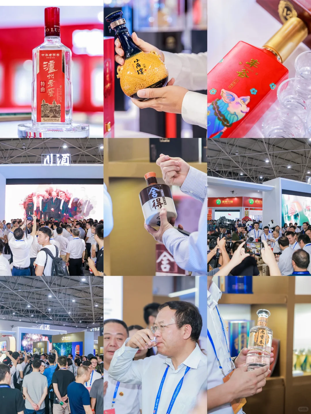 第九届国际酒类博览会