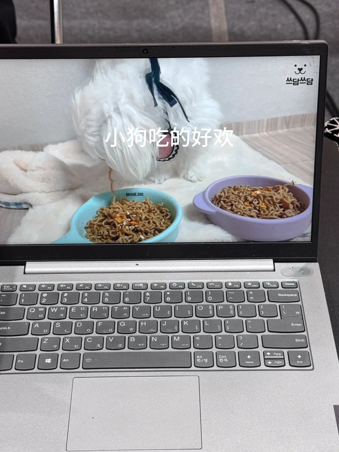 韩国??拉面博览会4.4～4.6