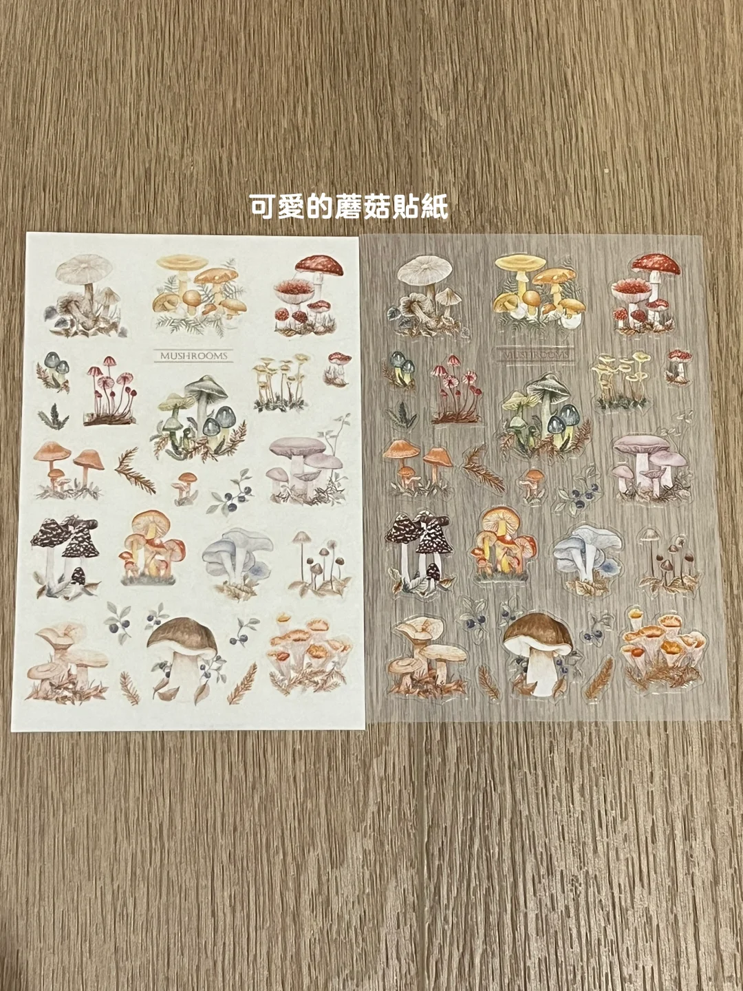台湾生活｜快乐来源?‍?台北国际插画博览会