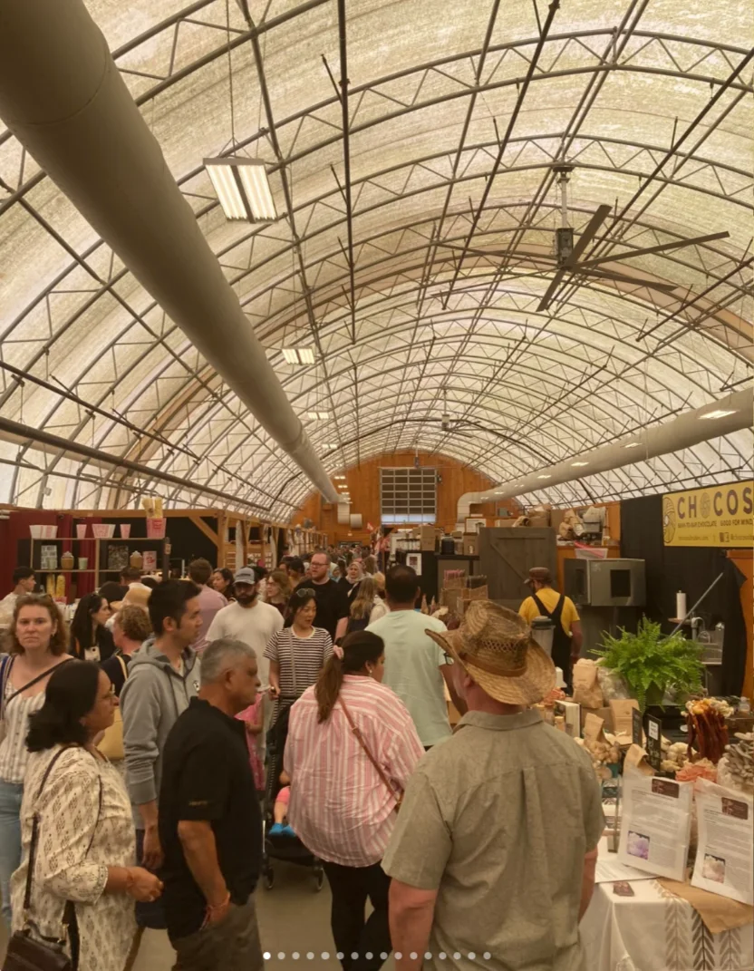 埃德蒙顿周边2025年春夏嘉年华&集市全攻略