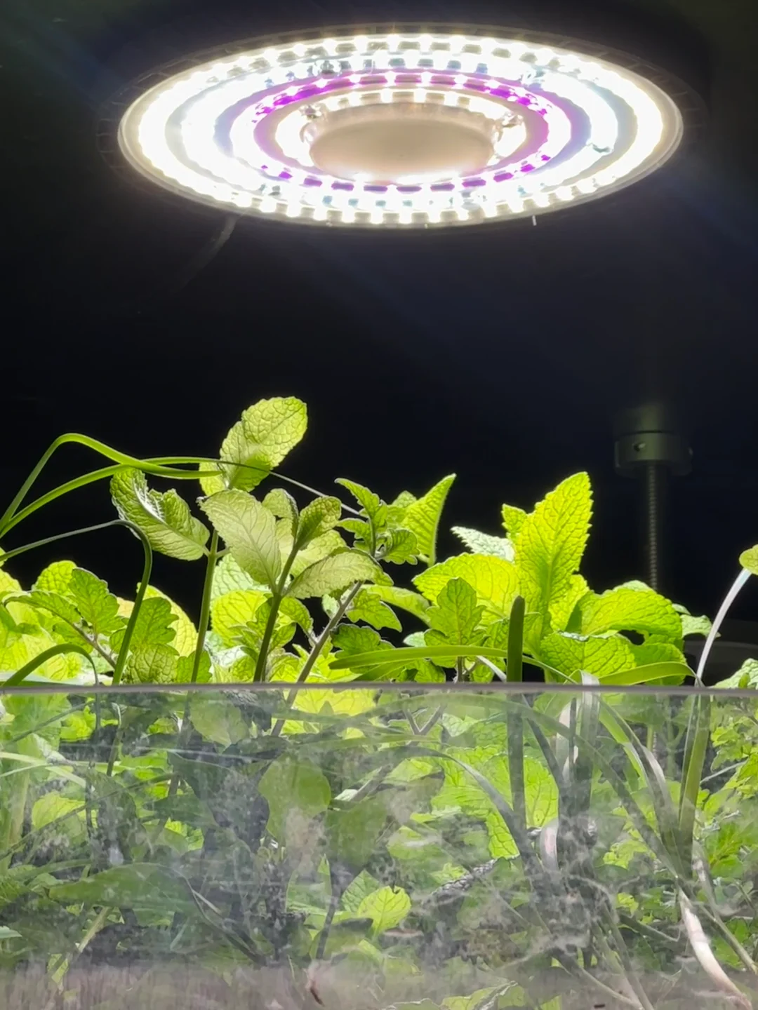 北京近期最值得逛的展｜科幻大片级的震撼