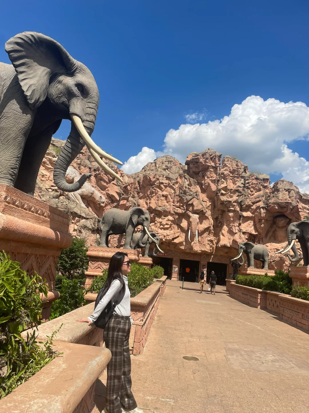 南非??展会 已回