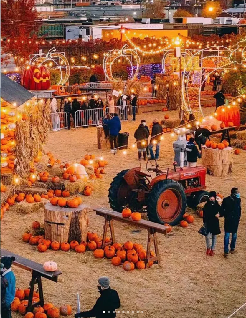 埃德蒙顿周边2025年春夏嘉年华&集市全攻略