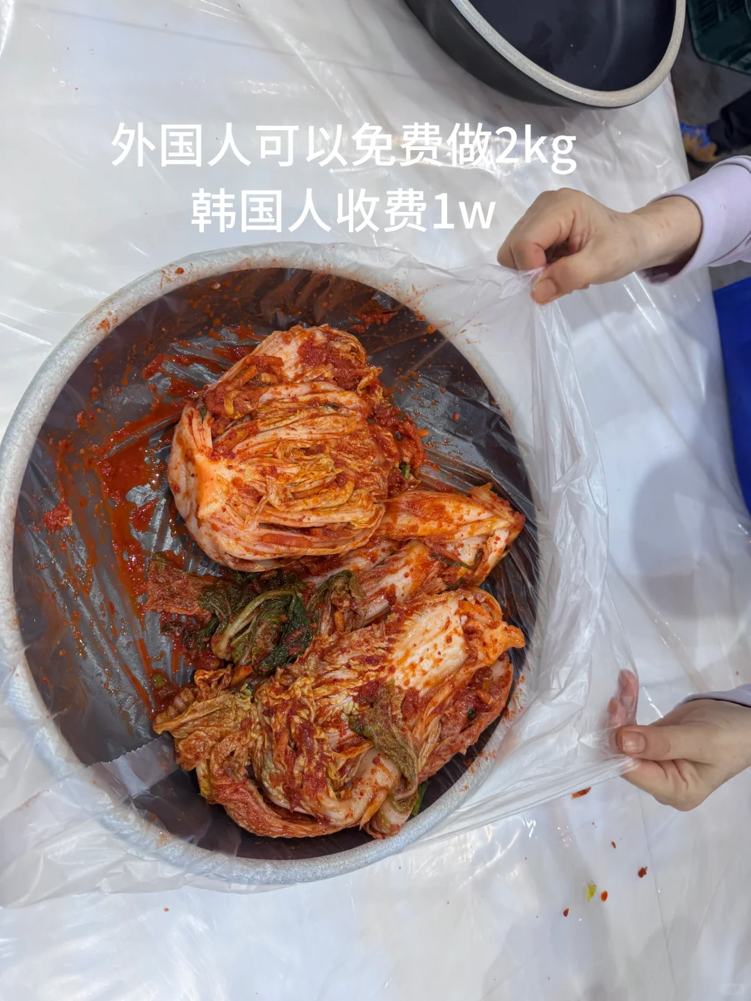 韩国??拉面博览会4.4～4.6