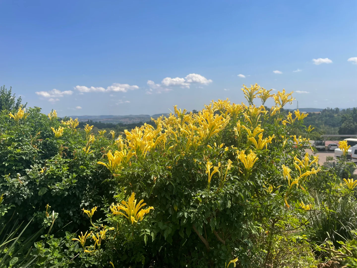 南非??展会 已回