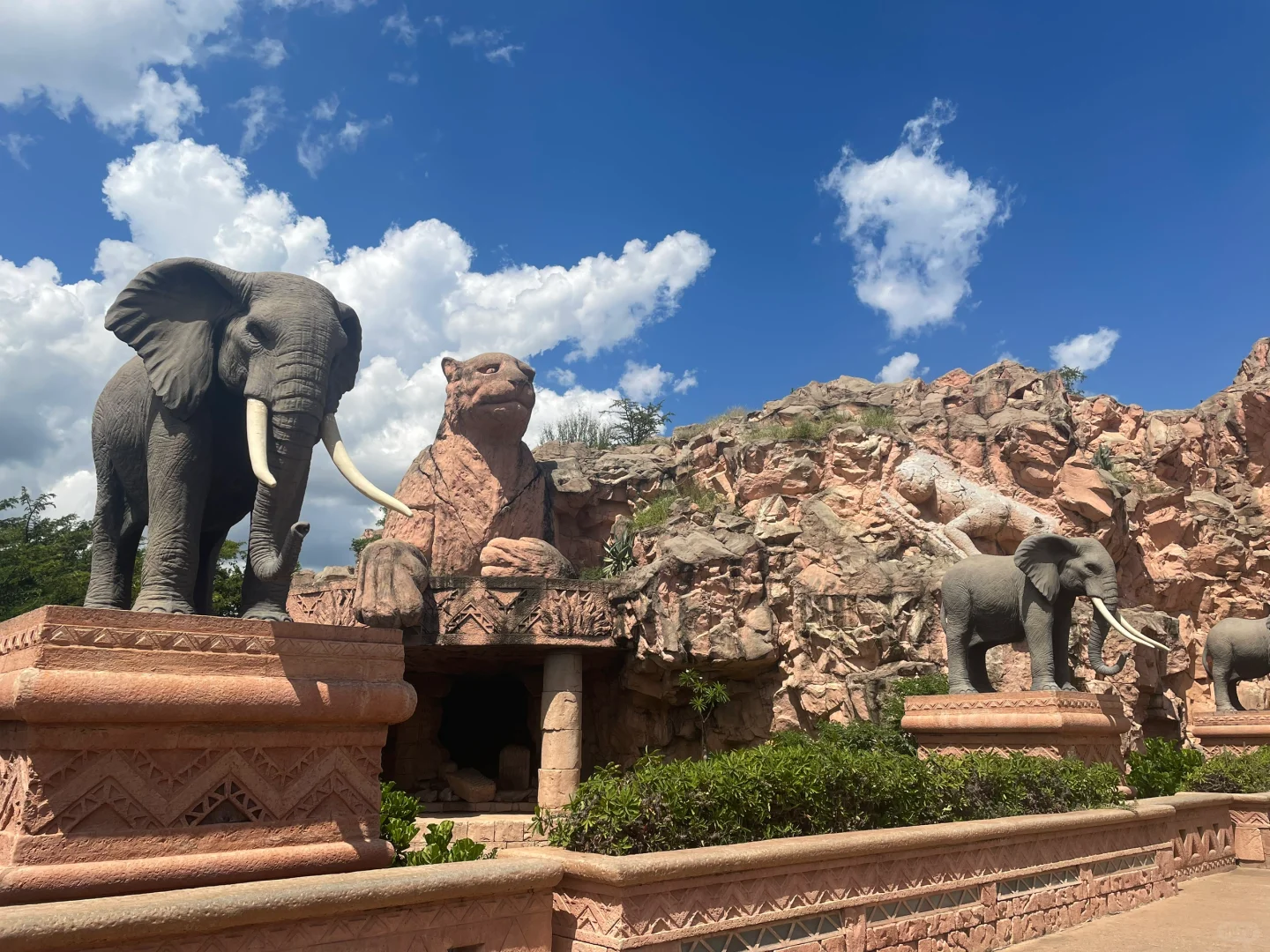 南非??展会 已回