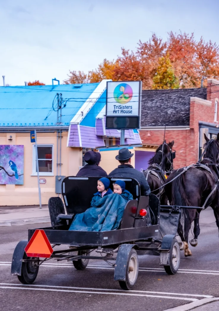 埃德蒙顿周边2025年春夏嘉年华&集市全攻略