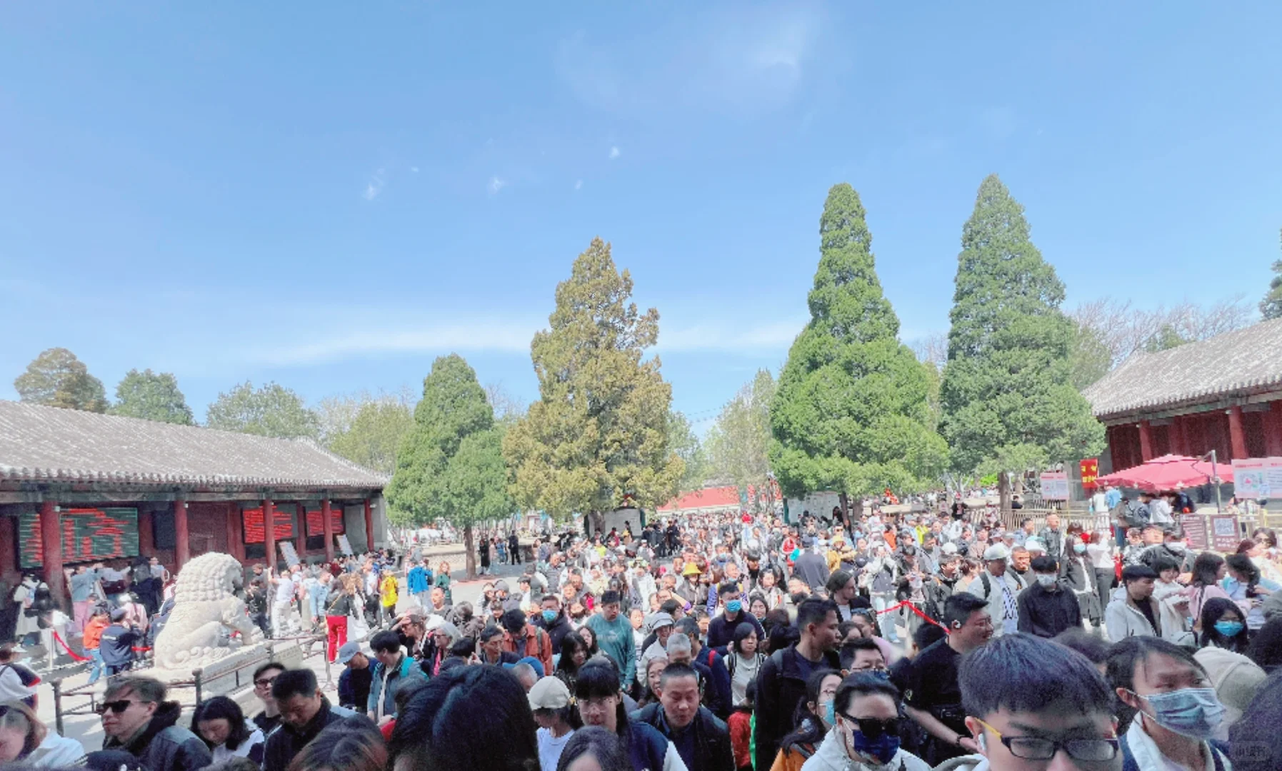 『颐和园·人类博览会』