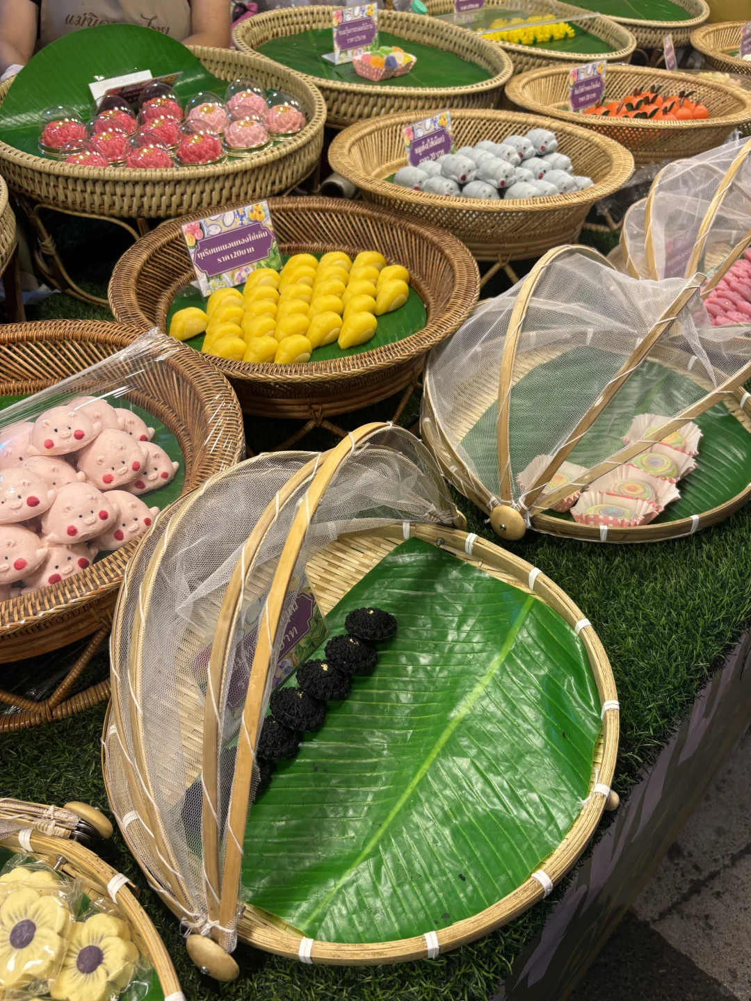 斯拉差农业博览会 ?????