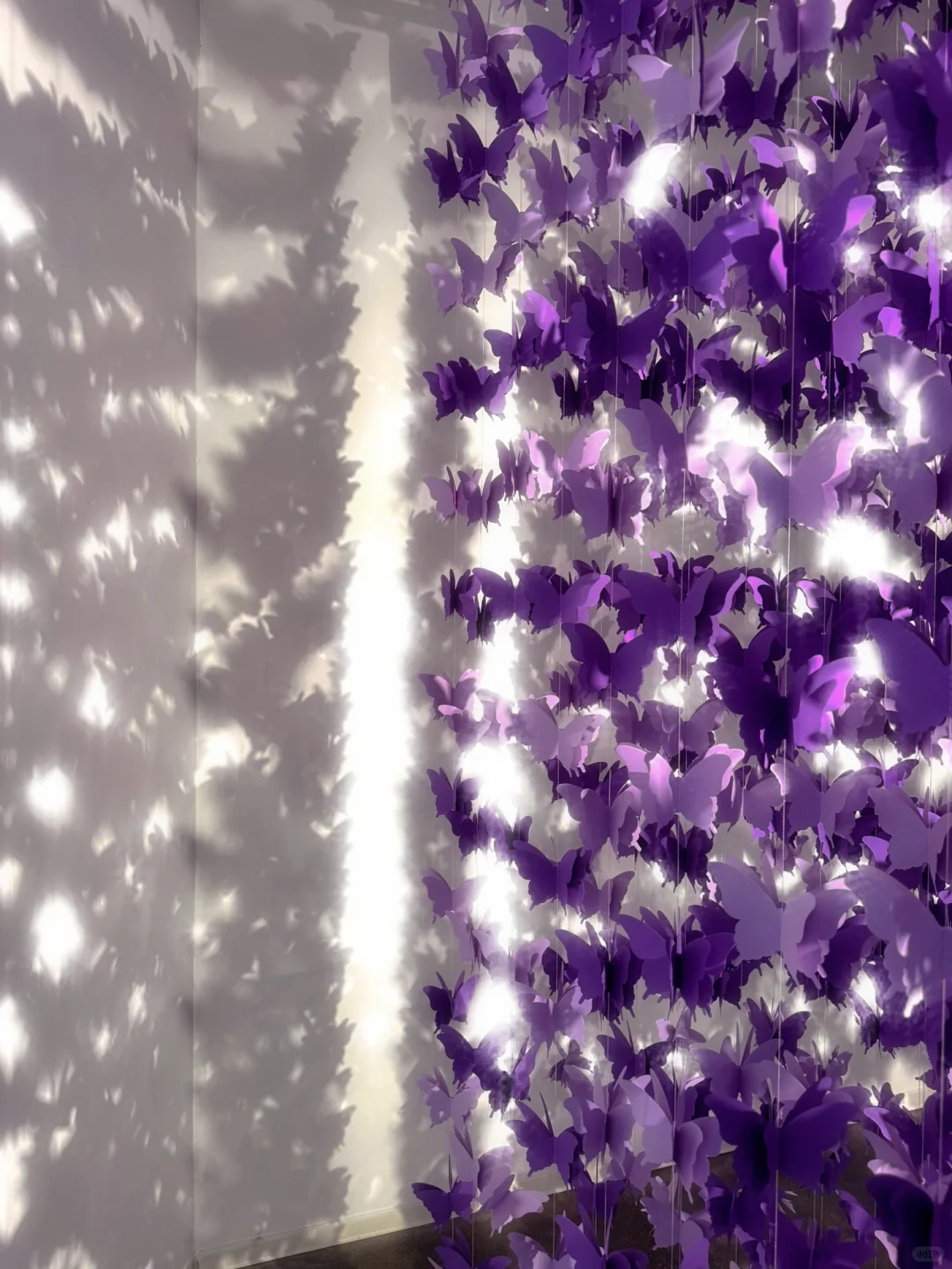 ?重庆高效逛展｜解锁重力封印〰️