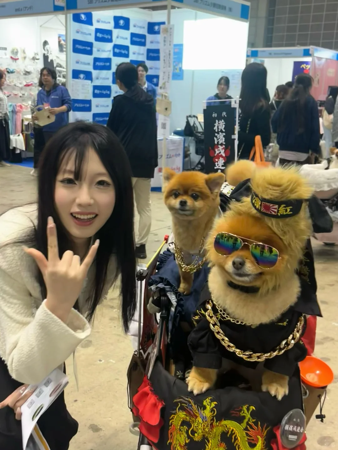 ??宠物展day4 展会翻译?